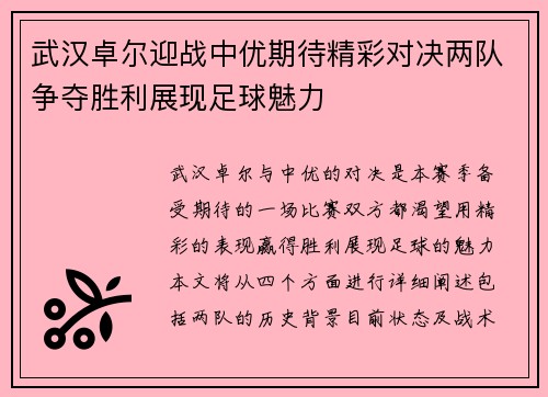 武汉卓尔迎战中优期待精彩对决两队争夺胜利展现足球魅力